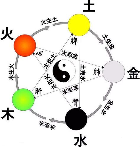 正字五行|正字的五行属性